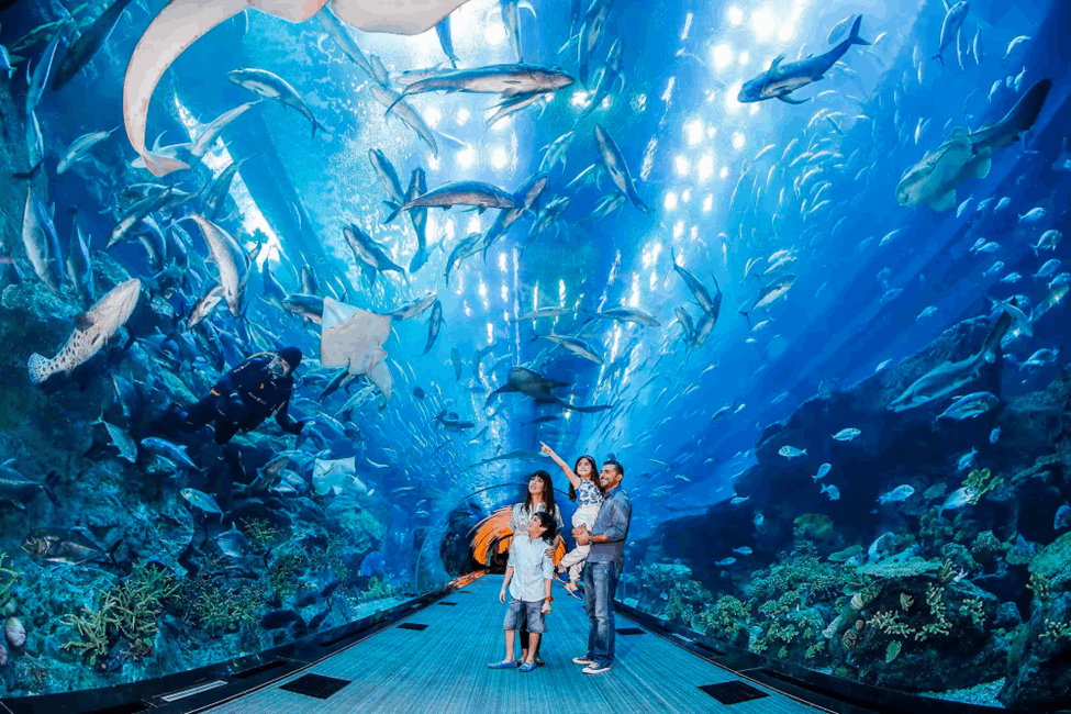 Dubai Aquarium and Underwater Zoo