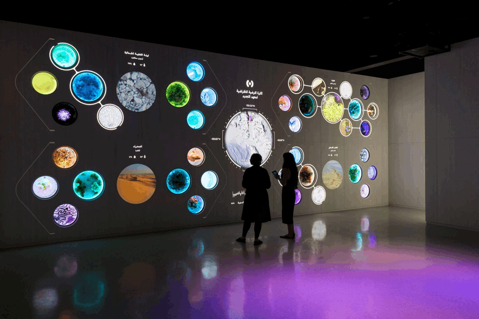 Interactive Exhibits
