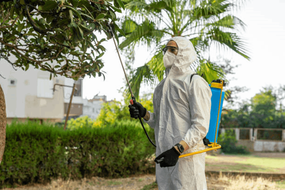Chemical Repellents