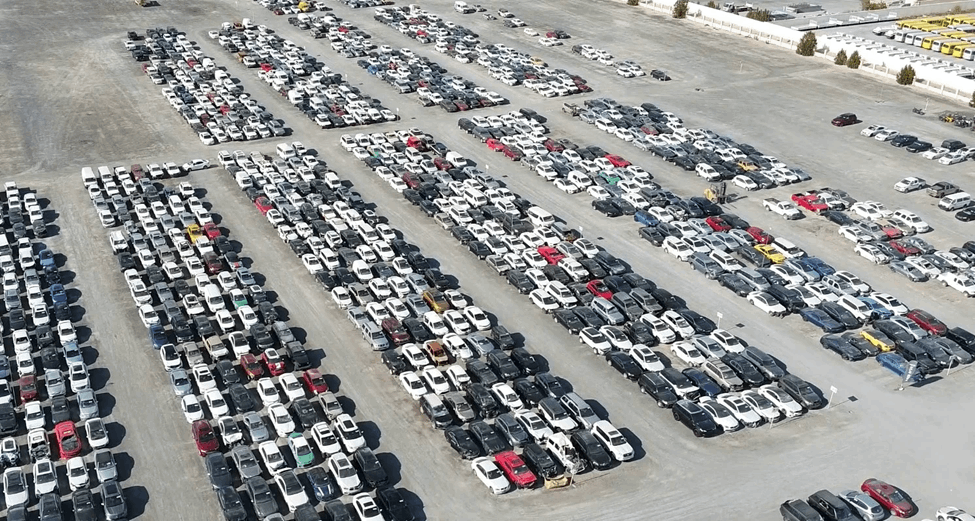 Car Auctions