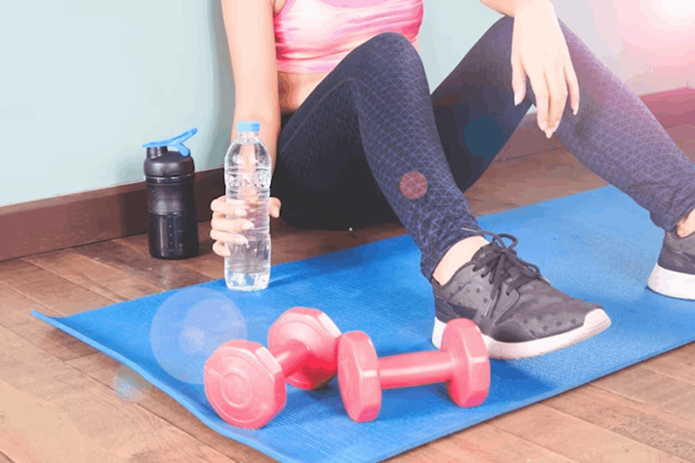 Exercise Routines 