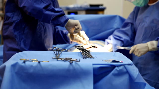 thumbay hospital ajman